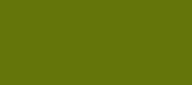 Color #64750A Fiji Green (background png icon) HTML CSS