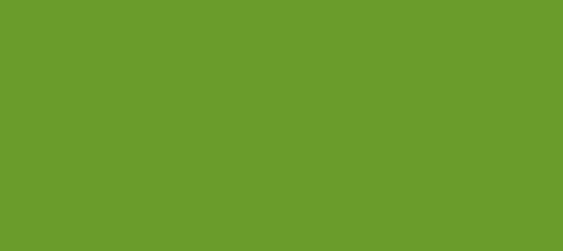 Color #6A9C2B Limeade (background png icon) HTML CSS