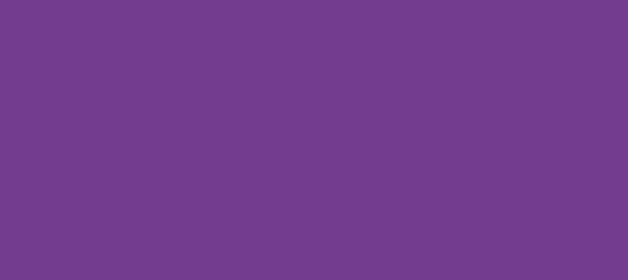 Color #733D8D Vivid Violet (background png icon) HTML CSS