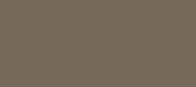 Color #736857 Coffee (background png icon) HTML CSS