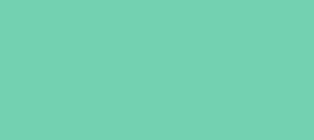 Color #73D1B1 Medium Aquamarine (background png icon) HTML CSS