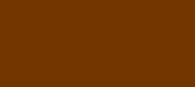 Color #743600 Raw Umber (background png icon) HTML CSS