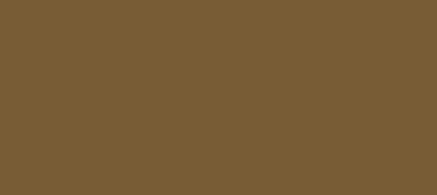 Color #785C36 Shingle Fawn (background png icon) HTML CSS