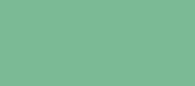 Color #7BBA95 Padua (background png icon) HTML CSS