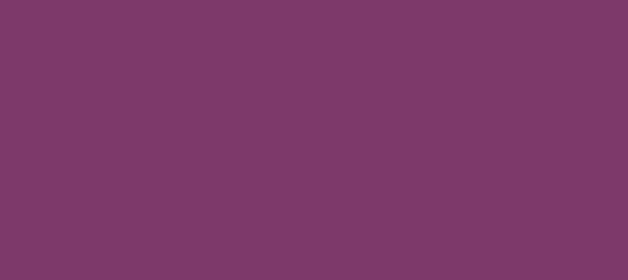 Color #7E396B Dark Purple (background png icon) HTML CSS