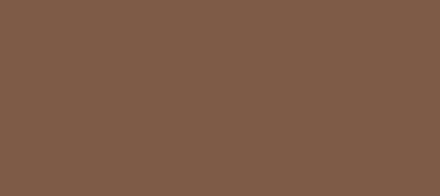 Color #7E5B47 Potters Clay (background png icon) HTML CSS