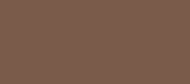 Color #7A5B4A Dark Wood (background png icon) HTML CSS