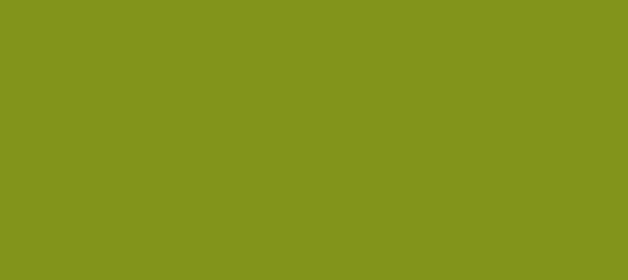 Color #82941B Citron (background png icon) HTML CSS