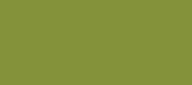 Color #84923A Wasabi (background png icon) HTML CSS