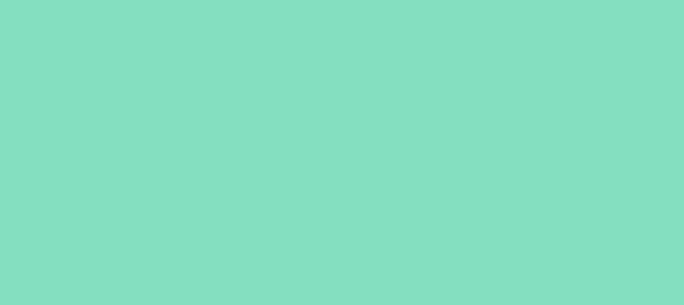 Color #84DFC0 Riptide (background png icon) HTML CSS