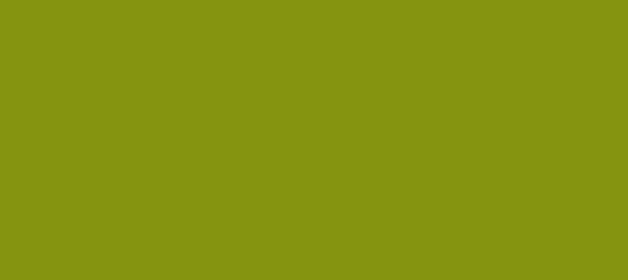 Color #859410 Citron (background png icon) HTML CSS