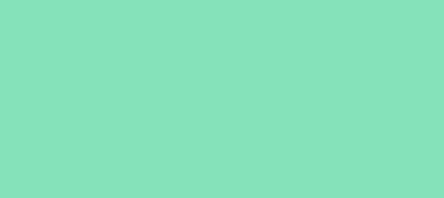 Color #85E2BA Bermuda (background png icon) HTML CSS