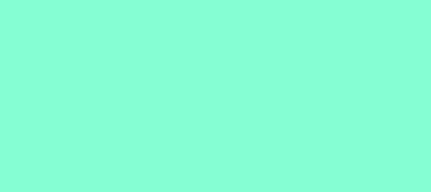 Color #85FED4 Aquamarine (background png icon) HTML CSS