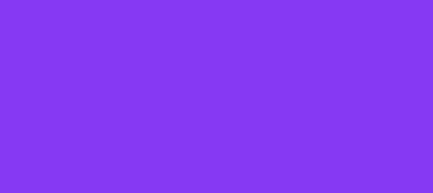 Color #8639F3 Blue Violet (background png icon) HTML CSS