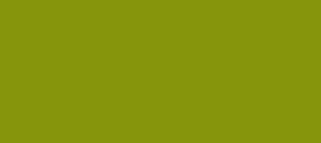 Color #86950C Citron (background png icon) HTML CSS