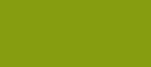 Color #869D10 Citron (background png icon) HTML CSS