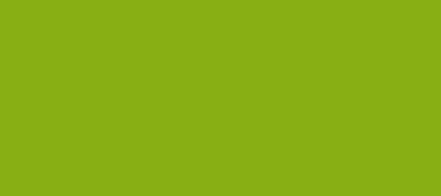 Color #86AF14 Limerick (background png icon) HTML CSS