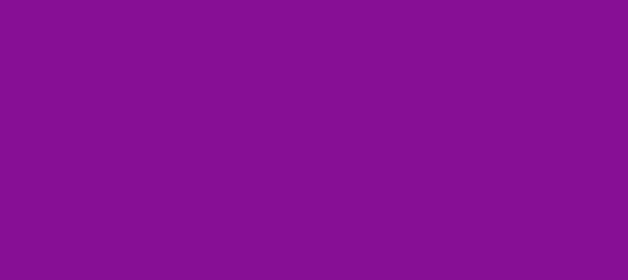 Color #870F95 Dark Magenta (background png icon) HTML CSS