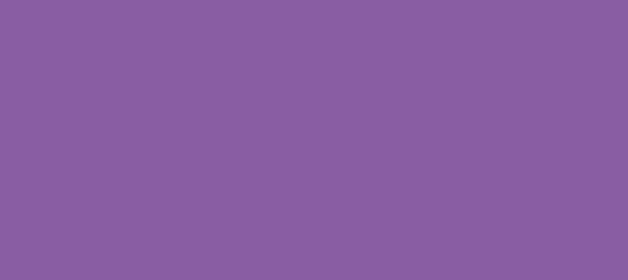 Color #895DA3 Ce Soir (background png icon) HTML CSS