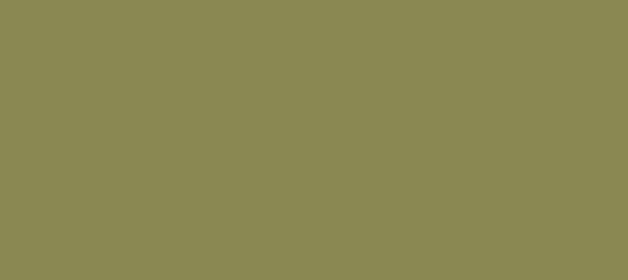 Color #8A8852 Clay Creek (background png icon) HTML CSS