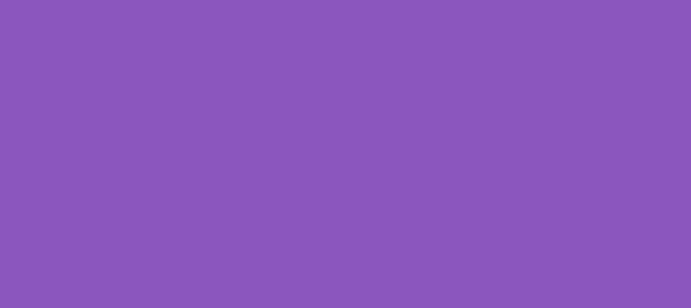 Color #8B56BE Deep Lilac (background png icon) HTML CSS