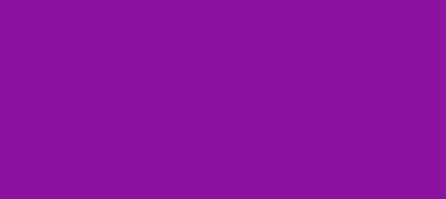 Color #8C12A0 Dark Magenta (background png icon) HTML CSS