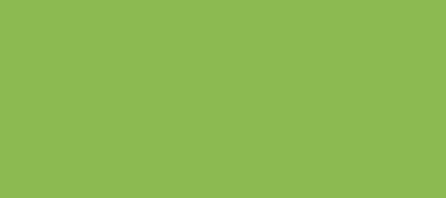 Color #8CBA51 Chelsea Cucumber (background png icon) HTML CSS