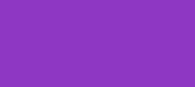 Color #8E37C3 Dark Orchid (background png icon) HTML CSS