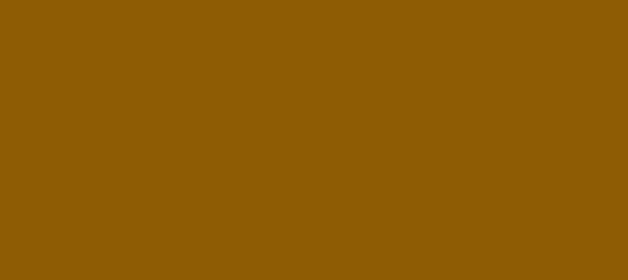 Color #8E5C04 Golden Brown (background png icon) HTML CSS