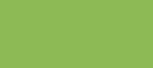 Color #8EBA55 Chelsea Cucumber (background png icon) HTML CSS