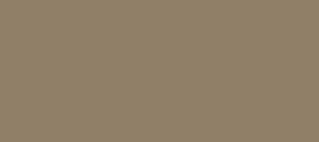Color #907F67 Squirrel (background png icon) HTML CSS