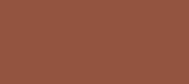 Color #935440 Mule Fawn (background png icon) HTML CSS