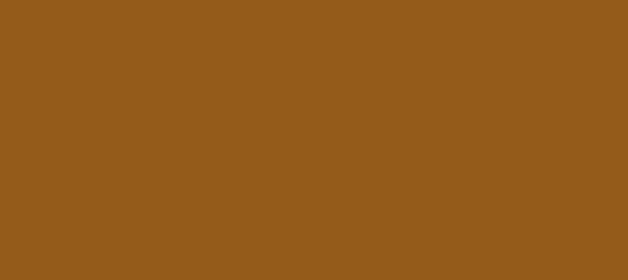 Color #945B1A Afghan Tan (background png icon) HTML CSS