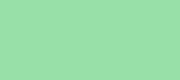 Color #98E0A8 Chinook (background png icon) HTML CSS