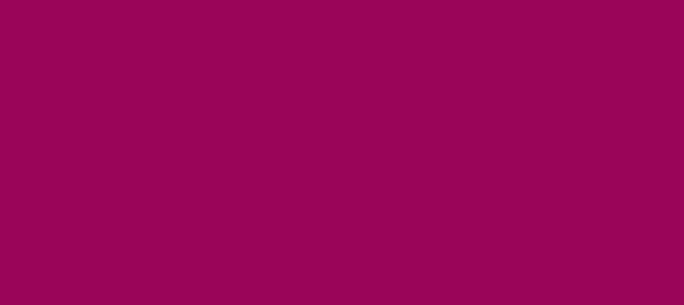 Color #990659 Jazzberry Jam (background png icon) HTML CSS
