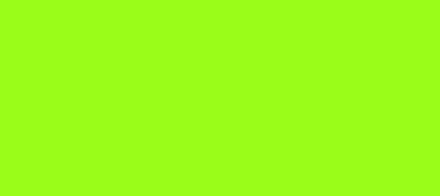 Color #99FC19 Spring Bud (background png icon) HTML CSS