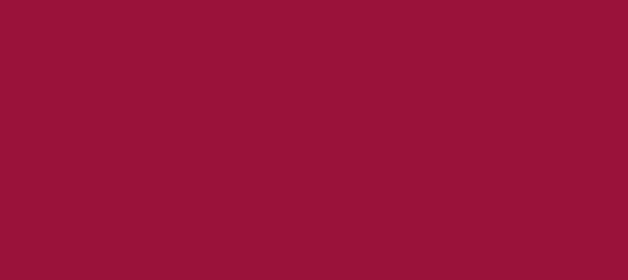 Color #9B123B Bright Red (background png icon) HTML CSS