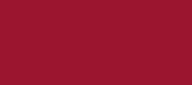 Color #9B152F Bright Red (background png icon) HTML CSS