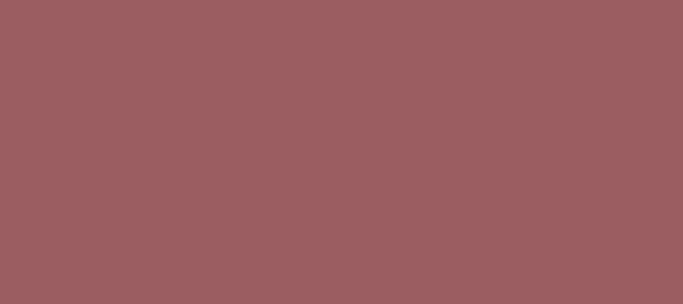 Color #9B5D61 Vin Rouge (background png icon) HTML CSS