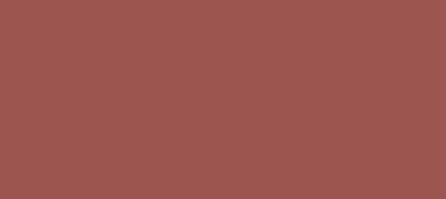 Color #9C554F Copper Rust (background png icon) HTML CSS