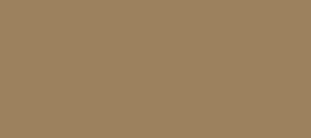 Color #9C815E Sorrell Brown (background png icon) HTML CSS