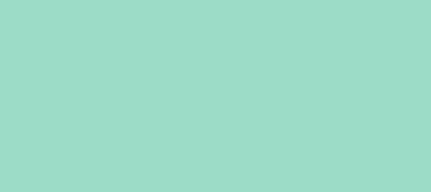 Color #9CDCC7 Riptide (background png icon) HTML CSS