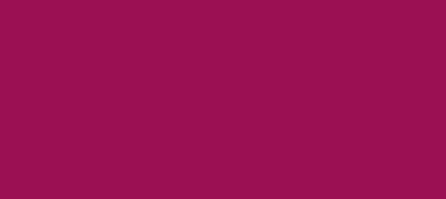 Color #9D1052 Jazzberry Jam (background png icon) HTML CSS