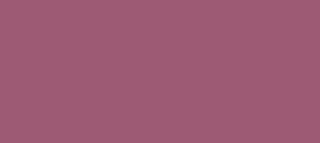 Color #9D5A74 Mauve Taupe (background png icon) HTML CSS