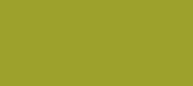 Color #9DA12C Citron (background png icon) HTML CSS