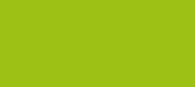 Color #9DC114 Citrus (background png icon) HTML CSS