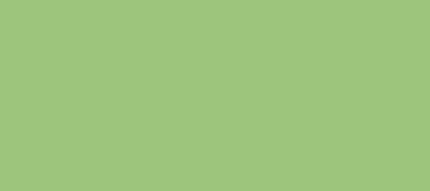 Color #9DC57C Olivine (background png icon) HTML CSS