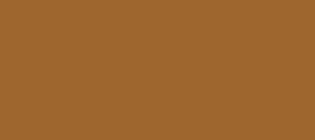 Color #9E662E Mai Tai (background png icon) HTML CSS