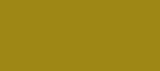 Color #9E8715 Hacienda (background png icon) HTML CSS