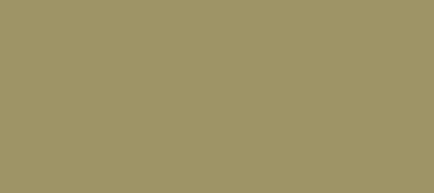 Color #9E9466 Gurkha (background png icon) HTML CSS